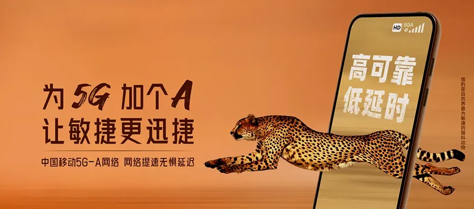 绥江县绥江县南岸镇 移动宽带